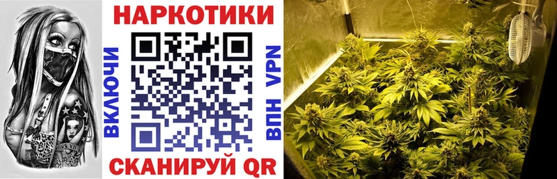 Купить наркоту Новоржев KRAKEN ссылка APVP МЕФ Cocaine Конопля