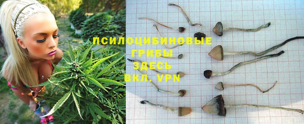 хмурый Гусь-Хрустальный