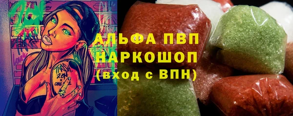 хмурый Гусь-Хрустальный