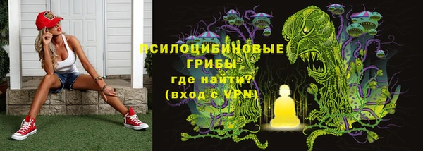хмурый Гусь-Хрустальный