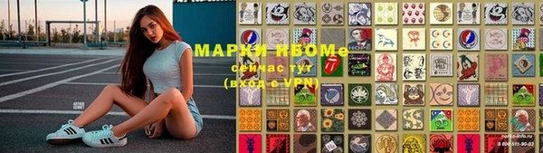 хмурый Гусь-Хрустальный