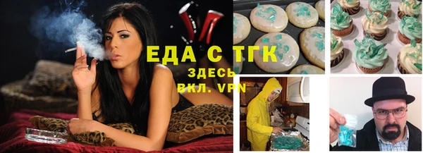 хмурый Гусь-Хрустальный