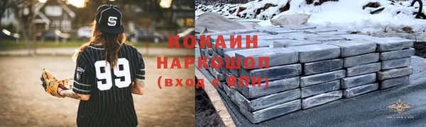 хмурый Гусь-Хрустальный