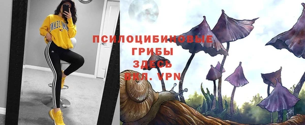 хмурый Гусь-Хрустальный