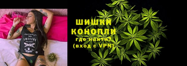 хмурый Гусь-Хрустальный