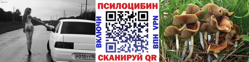 Псилоцибиновые грибы Magic Shrooms купить Новоржев